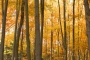 wanderung_drnstein_1721_2015_10_26