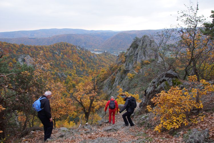 wanderung_drnstein_1761_2015_10_26