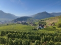 IMG_20251004_104836