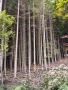 IMG_20251004_121346