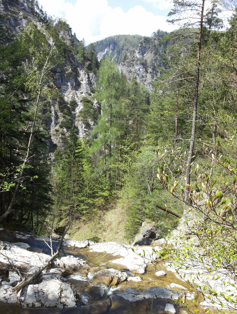 20160508_111808 (772x1024)