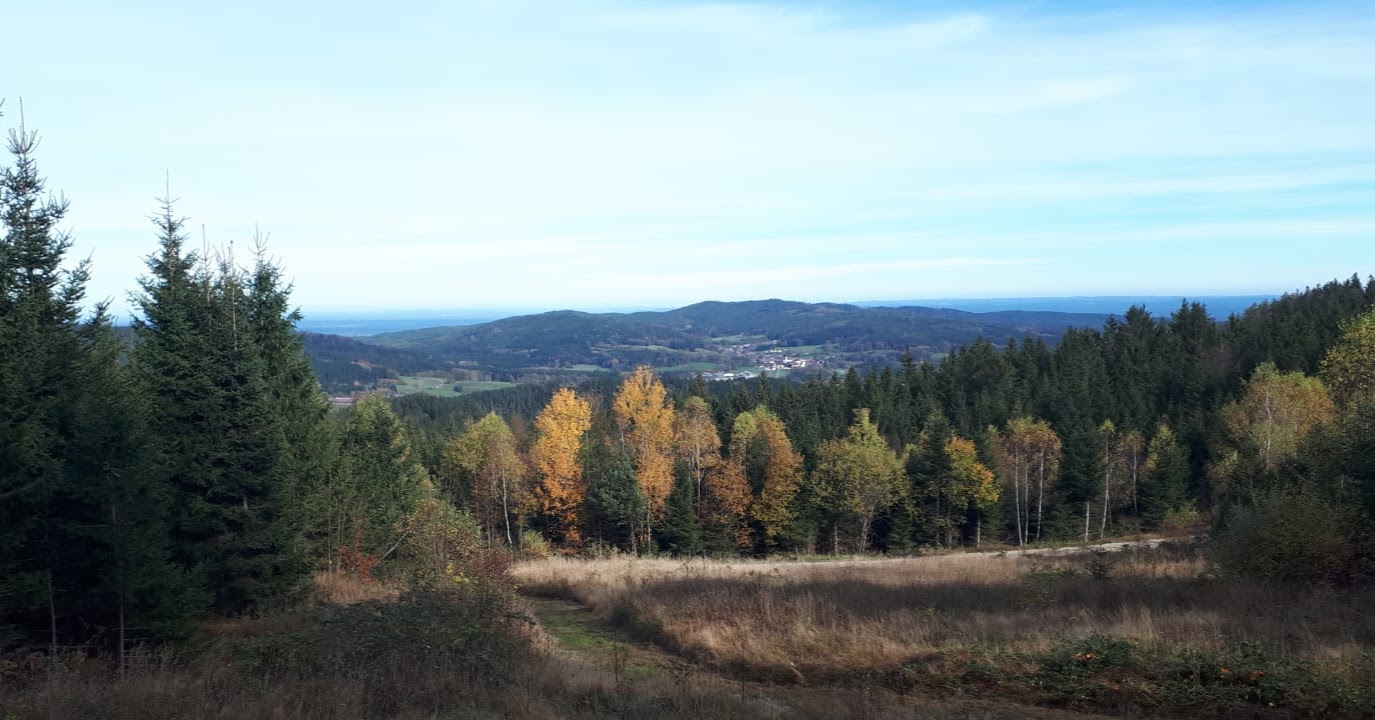 IMG-20221027-WA0007