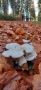 IMG-20221023-WA0021