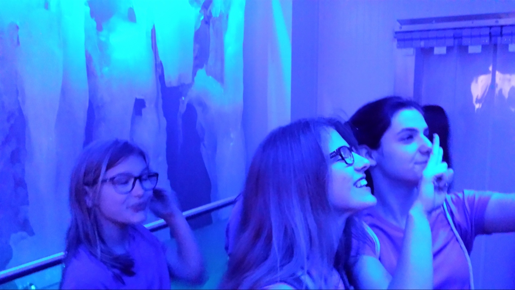 2016-05-15 12.25.03 (1024x576)