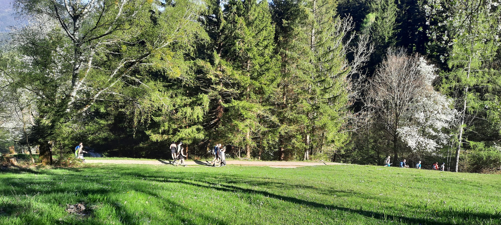 IMG-20240408-WA0027