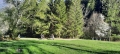 IMG-20240408-WA0027